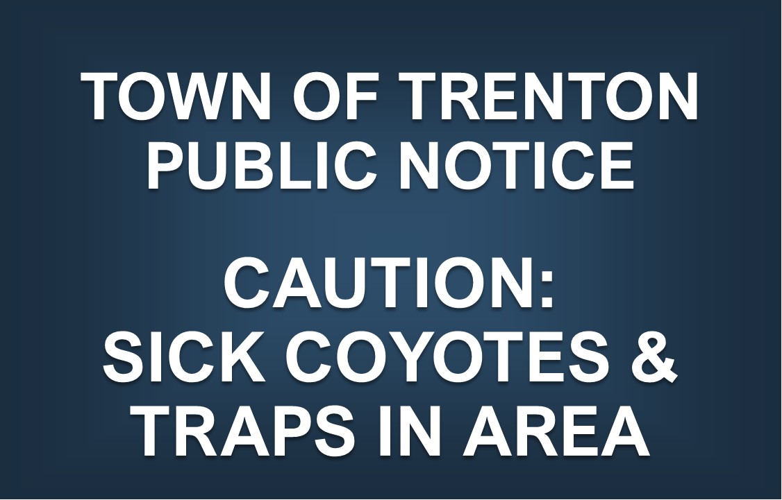Caution: Sick Coyotes & Traps in Area